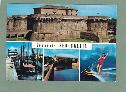 AK Senigallia. Souvenir.