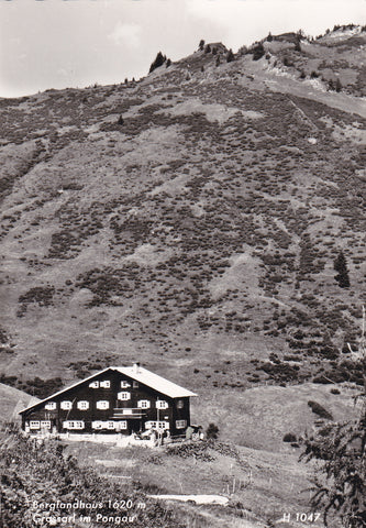 AK Grossarl im Pongau. Berglandhaus.