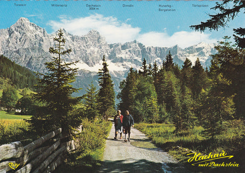 AK Hachau mit Dachstein. Filzmoos.