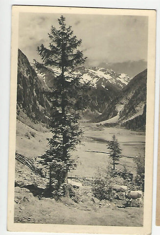 AK Stappitzersee mit der Ankogelgruppe. (1919)