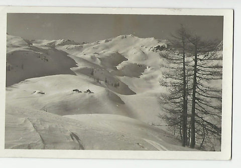 AK Seekar i. Zauchtal m. Tagweidek. b. Altenmarkt.