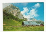 AK Mittenfeld-Alm. Mühlbach am Hochkönig.