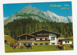 AK Mitteregg-Alm. J. u. M. Mitteregger. Mühlbach am Hochkönig.