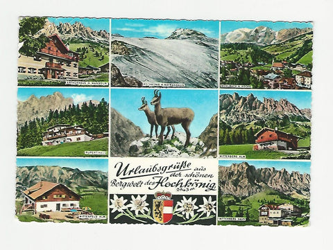 AK Urlaubsgrüße aus der schönen Bergwelt des Hochkönigs.
