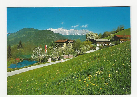 Werbe-AK St. Johann. Alpenhof Familie Gschwandl. Alpendorf 31.