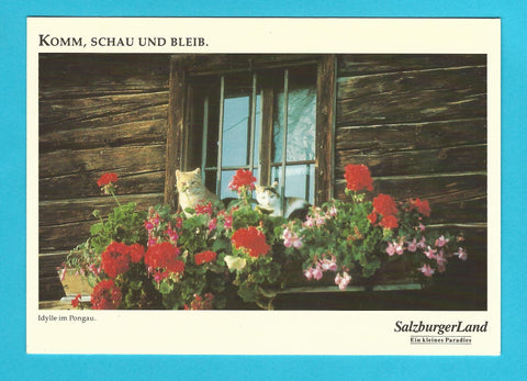 AK Idyll im Pongau.