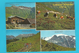 AK Bad Hofgastein. Gadauner Hochalm.
