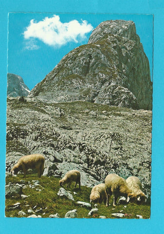 AK Idyll am Hochkönig.