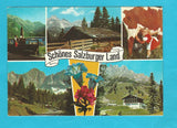 AK Schönes Salzburger Land. (Jägersee, Reitalm mit Bischofsmütze, Dachstein-Südwand, Hochkönig, Arthurhaus)