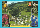 AK Alpenblumengruß aus Großarl.