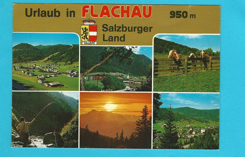 AK Urlaub in Flachau.