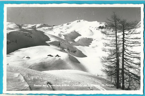 AK Seekar mit Tagweideck  - Zauchtal bei Altenmarkt.