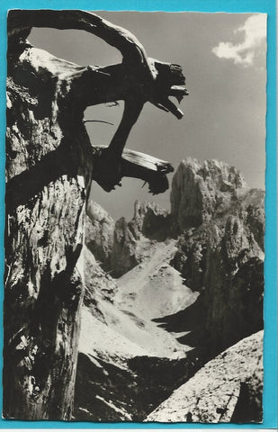 AK Salzburger Dolomiten. Große und Kleine Bischofsmütze.