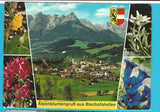 AK Alpenblumengruß aus Bischofshofen.
