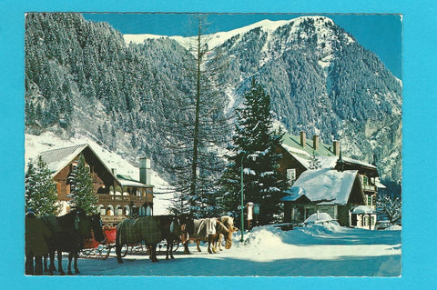 AK Badgastein. Hoteldorf Grüner Baum.
