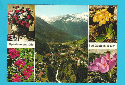 AK Alpenblumengrüße Bad Gastein.