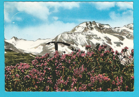 AK Sonnblick von der Pochartscharte.