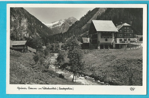 AK Badgastein. Grüner Baum im Kötschachtal.