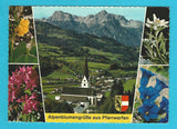 AK Alpenblumengrüße aus Pfarrwerfen.