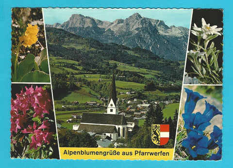 AK Alpenblumengrüße aus Pfarrwerfen.