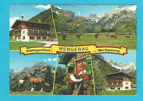AK Werfenweng. Alpengasthof Wengerau.
