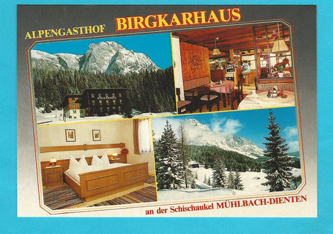 AK Mühlbach am Hochkönig. Alpengasthof Birgkarhaus. Fam. J. u. U. Berger.