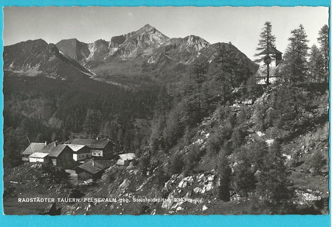 AK Radstädter Tauern. Felseralm gegen Steinfeldspitze. (1964)
