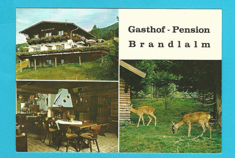 AK Dorfgastein. Gasthof Pension Brandlalm. Franz und Erni Leitner.