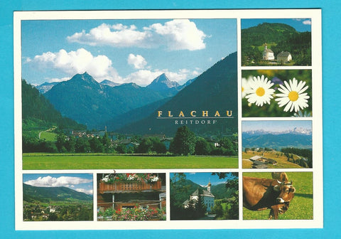 AK Flachau. Reitdorf.