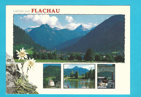 AK Grüsse aus Flachau.