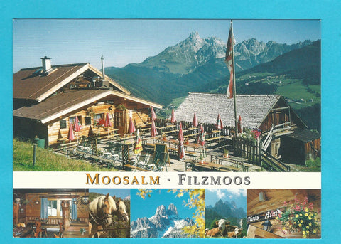 AK Filzmoos. Moosalm.