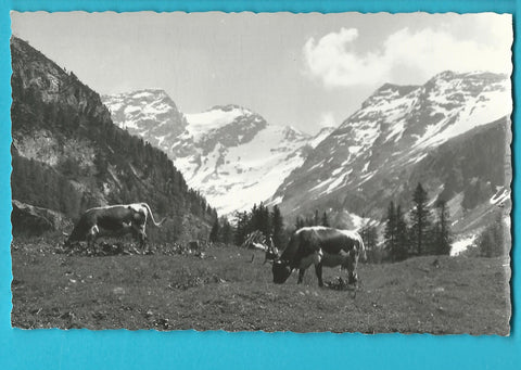 AK Radeckalpe mit Ankogel.