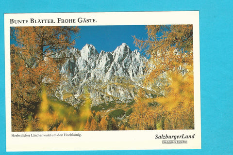 AK Herbstlicher Lärchenwald um den Hochkönig.