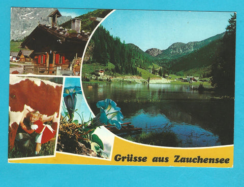 AK Grüsse aus Zauchensee.