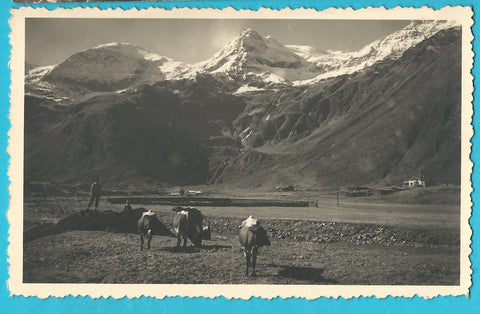 AK Valeriehaus Wurtengletscher, Schareck...
