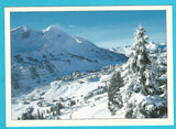 AK Obertauern.
