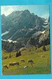 AK Rieding-Alm. Pfarrwerfen.
