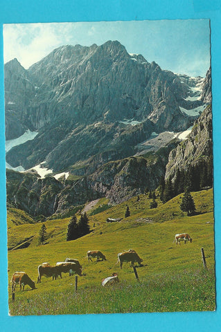 AK Rieding-Alm. Pfarrwerfen.