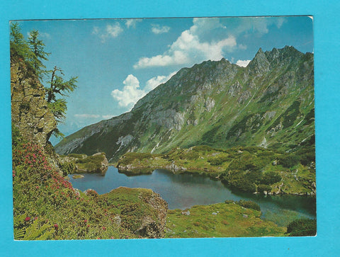 AK Schwarzsee. Forstau.