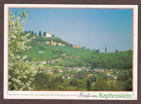 AK Burg Kapfenstein. (1993)