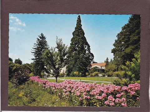 AK Heilbad Gleichenberg. Kurpark mit Wellingtonia.