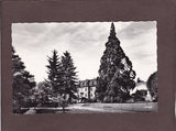 AK Kurort Bad Gleichenberg. Kurpark mit Wellingtonia.