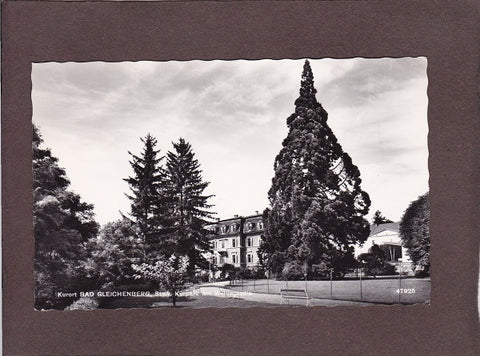 AK Kurort Bad Gleichenberg. Kurpark mit Wellingtonia.