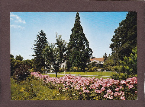 AK Heilbad Gleichenberg. Kurpark mit Wellingtonia.