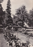 AK Kurpark Bad Gleichenberg.
