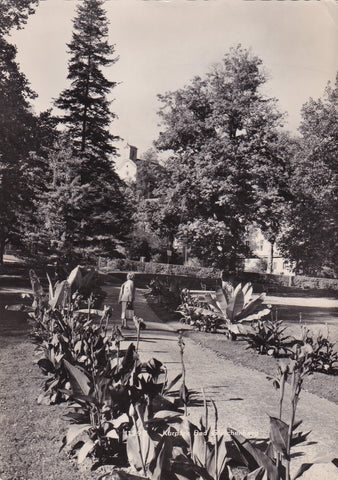 AK Kurpark Bad Gleichenberg.