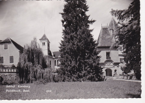 AK Feldbach. Schloß Kornberg.