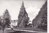 AK Kurort Bad Gleichenberg. Kurpark mit Wellingtonia. (1965)