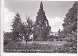 AK Kurort Bad Gleichenberg. Wellingtonia im Kurpark. (1963)