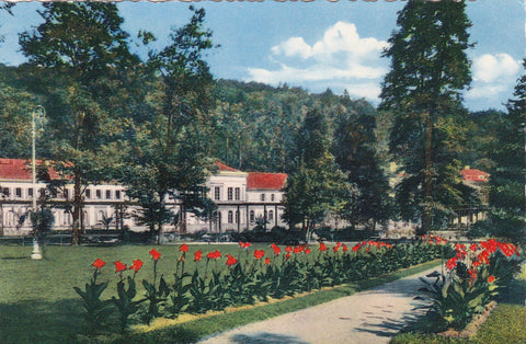 AK Bad Gleichenberg. Kurpark Motiv mit Kurmittelhaus. (1955-56)